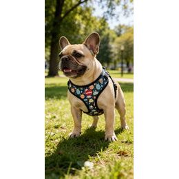 Amiplay Kšíry pro kočku s vodítkem Samba Tyrkysové