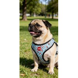 Amiplay Katzengeschirr mit Leine Samba Rot