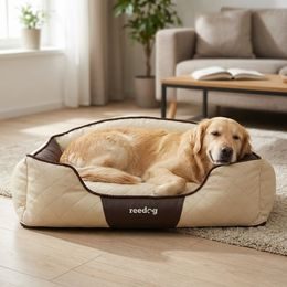 Reedog Glamour Fancy Negro Cama para Perro