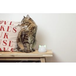 SureFlap puerta túnel para gatos