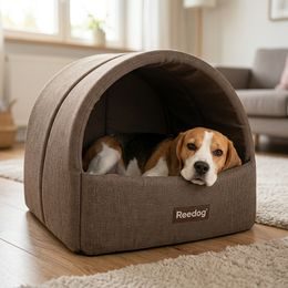 Reedog pamlsky pro psy Losos a arktický Krill