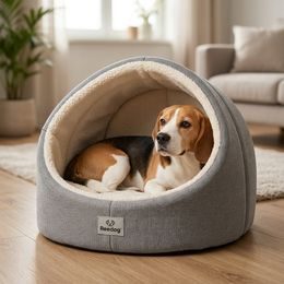 Šampon pro psy Animology Hair of the Dog, 250ml