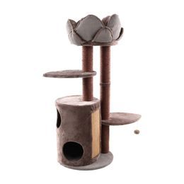 Flamingo Škrabadlo strom Lotus Brown