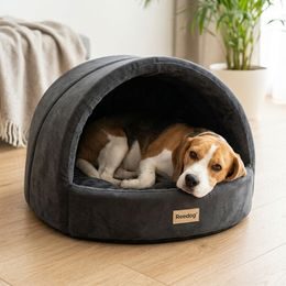 Cheerble Wicked Ball Rolly