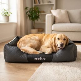 Hundematte Reedog Thin Paw