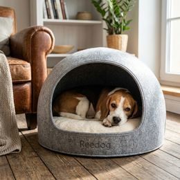 Reedog luminous USB light-up collar for small, medium, and large dogs