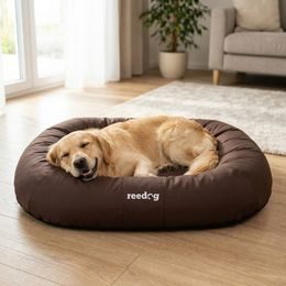 Cama para perro Reedog Pianki Dog