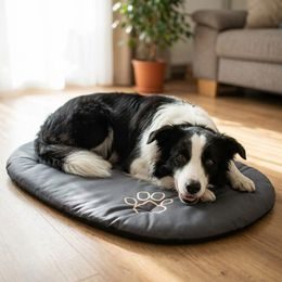 Cama para perro Reedog Pianki Dog