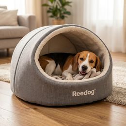 Dogtrace d-control easy mini