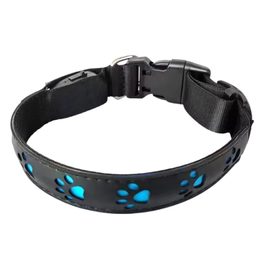 Reedog rechargeable light-up collar PAW