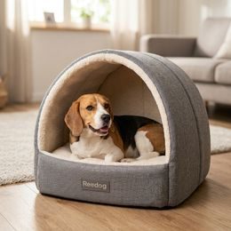 Dogtrace d-control easy mini