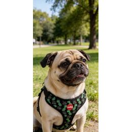 Amiplay Katzengeschirr mit Leine Samba Rot