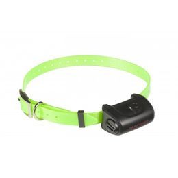 Patpet 650