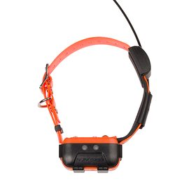 Zgardă și receptor de schimb pentru Canicom GPS2