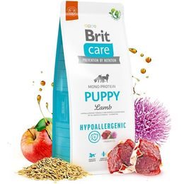 Brit Care Dog Grain-free Junior Large Breed Salmon 12 kg