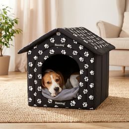 Reedog Domeček Bones