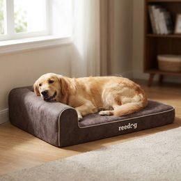 Cama para perros Reedog Amazing Beige