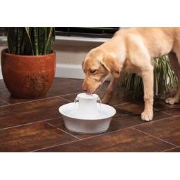 EYENIMAL Smart Bloom Pet Fountain