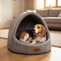 Reedog pamlsky pro psy Losos a arktický Krill