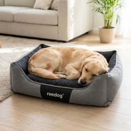 Schlafhöhle für Hunde Reedog Black Paw