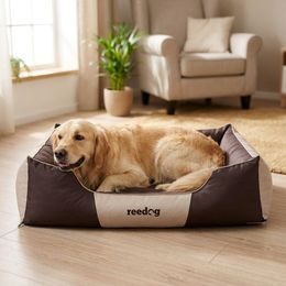 Cama para perros Reedog Pianki Gray Ekolen