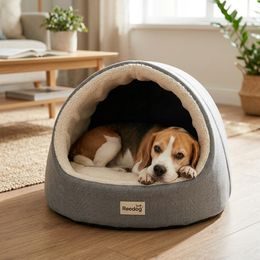 Šampon pro psy Animology Hair of the Dog, 250ml