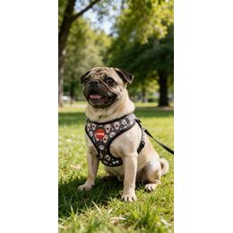 Amiplay Katzengeschirr mit Leine Samba Schwarz