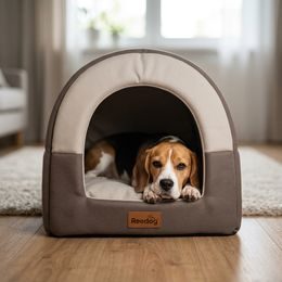 Massage brush Petkit