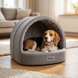 Reedog Ball Chew & Play, rubber ball, 6 cm