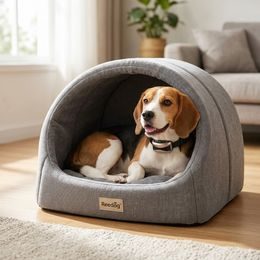 PetSafe® Standard