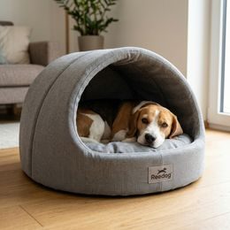 Cepillo de masaje Petkit