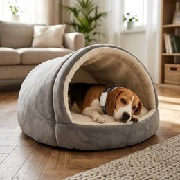 Reedog No Bark Vibro Premium