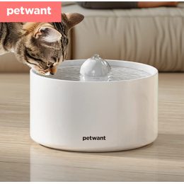 Fontána Petkit Eversweet 3 Pro
