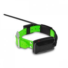 Extra collar and receiver VSZ