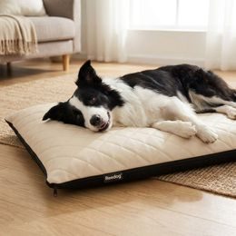 Cama para perro Reedog Exclusive Paw Black