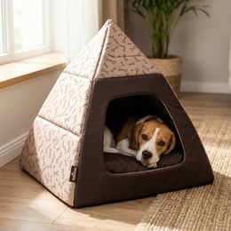 Reedog Pyramida 2v1 Brown Bones