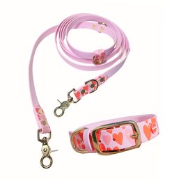 Reedog Gassi-Set Herzen BioThane HALSBAND + LEINE