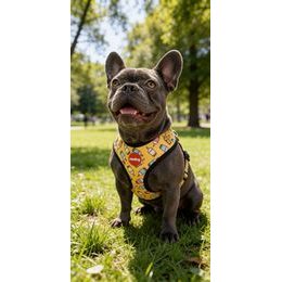 Amiplay Katzengeschirr mit Leine Samba Rot