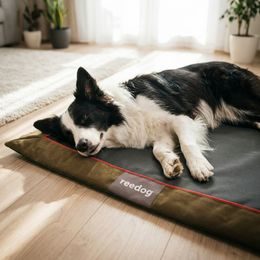 Reedog Pad Thin Bordo