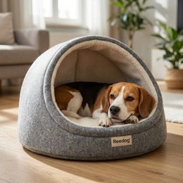 Dogtrace d-control easy mini