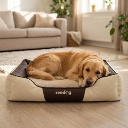 Colchón para perro Reedog Elis Negro