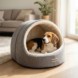 Reedog cat brush "cactus"