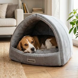 Reedog pamlsky pro psy Losos a arktický Krill