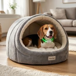 Petwant Multicolor Light-Up Collar