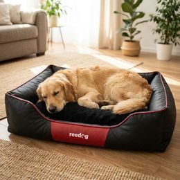 Hundepyramide Reedog 2v1 Brown Bones