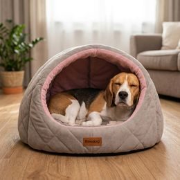 Reedog pamlsky pro psy Losos a arktický Krill