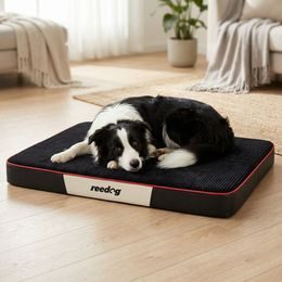 Colchón para perro Reedog Plus Black de pana