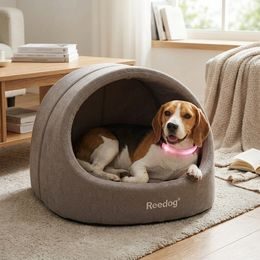 Petwant Multicolor Light-Up Collar