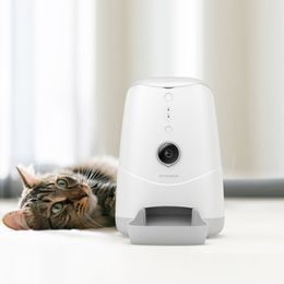 Dispensador automático de alimentos Petwant PF-123D para dos mascotas