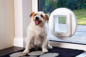 Türen für Hunde und Katzen sparen Ihnen Wärme und Zeit!